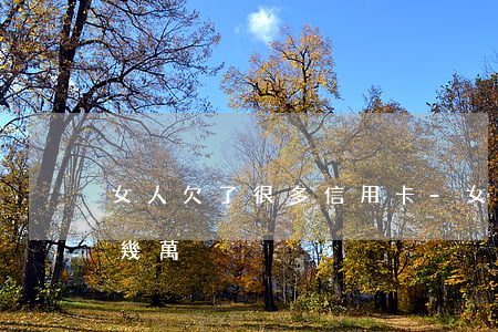 女人欠了很多信用卡-女孩子信用卡欠了十幾萬