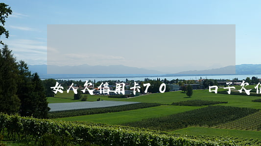 女人欠信用卡70萬(兩口子欠信用卡70萬)