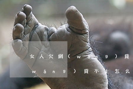 女人欠網(wǎng)貸怎么還(女人欠網(wǎng)貸不上怎么辦?)