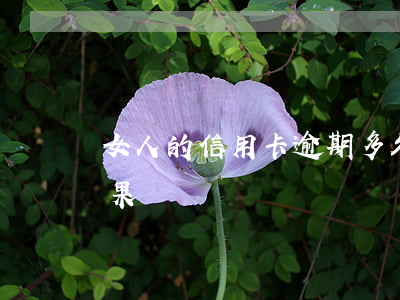 女人的信用卡逾期多久會被追(信用卡 逾期 后果)
