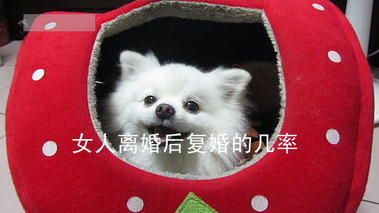 女人离婚后复婚的几率