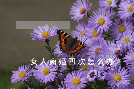 女人离婚四次怎么办