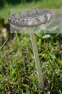 女人结婚前怀了别人孩子离婚(离婚后发现女方与别人有孩子)