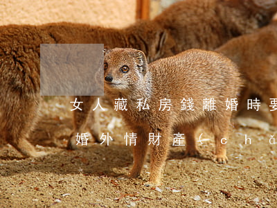 女人藏私房錢離婚時要怎么做不被分割(女方婚外情財產(chǎn)怎么分割)