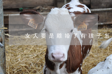 女人要是離婚了有孩子怎么辦