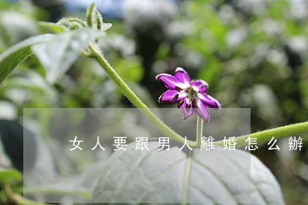 女人要跟男人離婚怎么辦