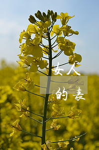 女人說離婚不能回頭(女人說離婚又不想離婚的表現(xiàn))