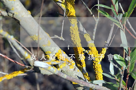 女人離婚不要孩子會(huì)后悔嗎
