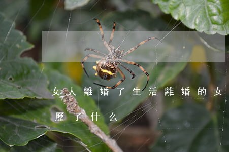 女人離婚了生活(離婚的女人經(jīng)歷了什么)