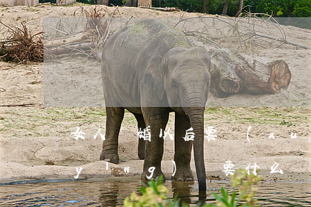女人離婚以后要學(xué)(女人離婚應(yīng)該要什么)