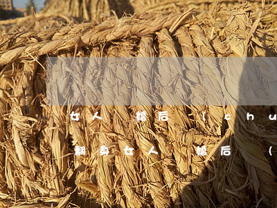 女人離婚后創(chuàng)業(yè)翻身(女人離婚后創(chuàng)業(yè)翻身)