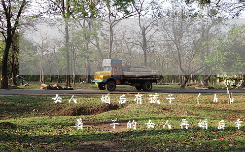 女人離婚后有孩子會(huì)再婚嗎(離婚帶著兒子的女人再婚后幸福嗎)