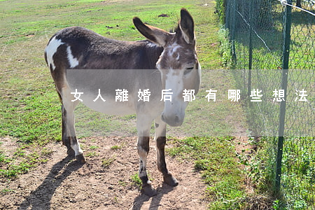 女人離婚后都有哪些想法