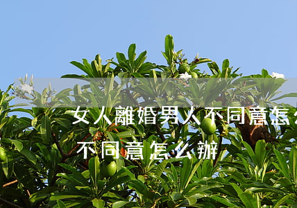 女人離婚男人不同意怎么辦(男人要離婚女人不同意怎么辦)