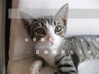 女兒剛結(jié)婚就鬧離婚怎么辦(媳婦一直鬧離婚怎么辦)