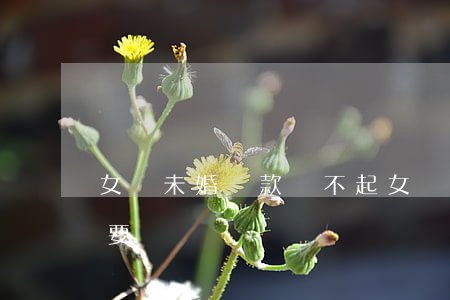 女兒未婚貸款還不起(女兒還不上貸款父母需要還嗎)