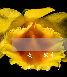 女兒欠4萬網(wǎng)貸(女兒欠網(wǎng)貸二次了)