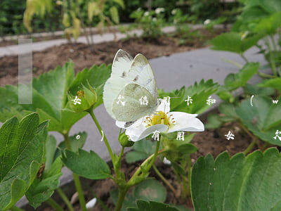 女兒欠信用卡和網(wǎng)貸報(bào)警有用嗎(女兒欠信用卡和網(wǎng)貸報(bào)警有用嗎)