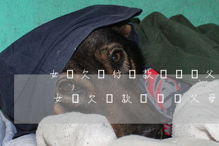 女兒欠銀行貸款,會凍結父母的型銀行卡嗎-女兒欠貸款會凍結父母賬戶嗎