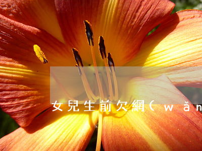 女兒生前欠網(wǎng)貸會累父母嗎