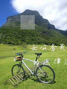 女公务员担保成“老赖”被拘！告诉你为朋友担保的法律风险！