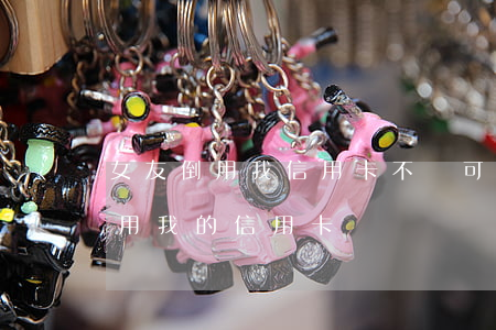 女友倒用我信用卡不還可以起訴嗎-女朋友用我的信用卡
