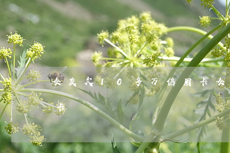 女友欠10多万信用卡 女友欠10多万信用卡