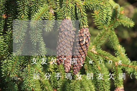 女友欠了網(wǎng)貸應(yīng)該分手嗎(女朋友欠網(wǎng)貸快結(jié)婚了)