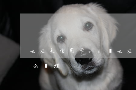女友欠信用卡20萬(女友欠信用卡20萬怎么處理)