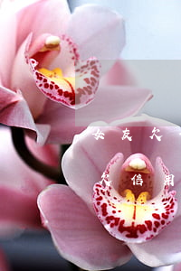 女友欠信用卡網(wǎng)貸逾期了(女友欠信用卡網(wǎng)貸逾期了,黑名單,我還能和他在一起嗎)