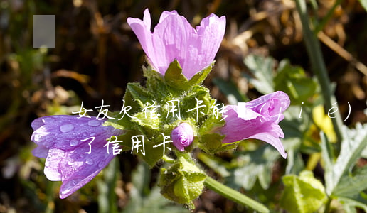 女友欠信用卡能結(jié)婚么 女朋友欠了信用卡
