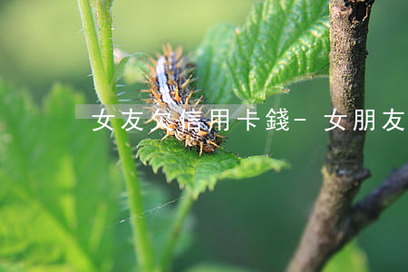 女友欠信用卡錢-女朋友欠信用卡