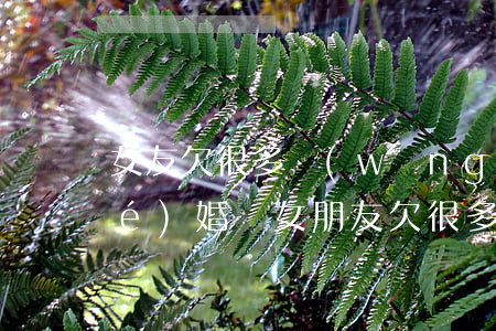 女友欠很多網(wǎng)貸可以結(jié)婚嗎(女朋友欠很多網(wǎng)貸)