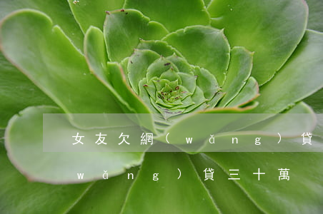 女友欠網(wǎng)貸三十萬(女友欠網(wǎng)貸三十萬)