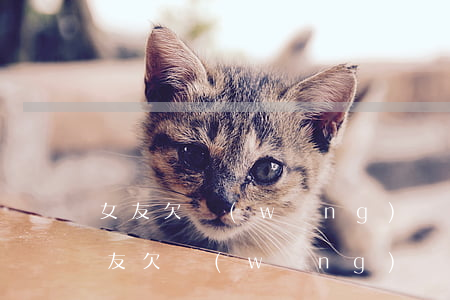 女友欠網(wǎng)貸還不清怎么辦(男朋友欠網(wǎng)貸還不上怎么辦)