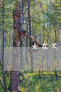 女友欠网贷30万(女朋友欠网贷好几万)