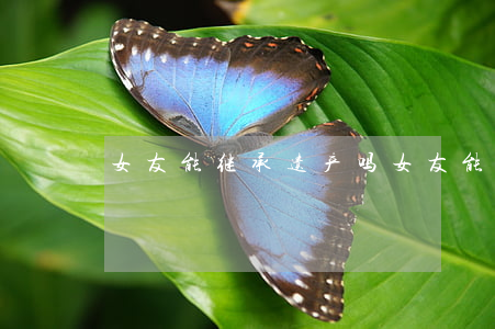 女友能继承遗产吗(女友能继承遗产吗)