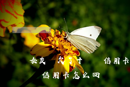 女友說欠了十幾萬信用卡-女友說欠了十幾萬信用卡怎么回復