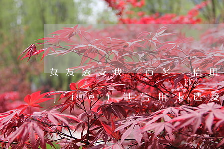 女友透支我一百多萬信用卡(女友花錢無節(jié)制信用卡透支)
