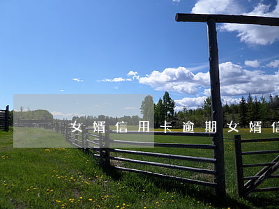 女婿信用卡逾期(女婿信用卡逾期一天)
