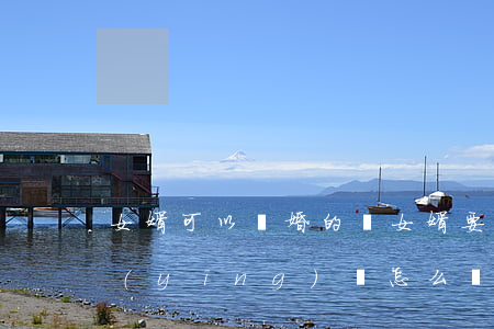 女婿可以離婚的書(女婿要跟女兒離婚我們應(yīng)該怎么辦)