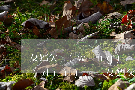 女婿欠網(wǎng)貸貸款公司來找我對(duì)嗎-女婿欠債,女方家里會(huì)受牽連嗎?