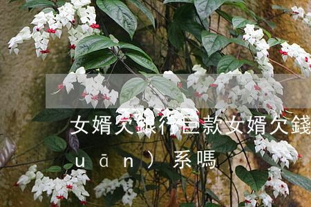 女婿欠銀行巨款(女婿欠錢了丈人家有關(guān)系嗎)