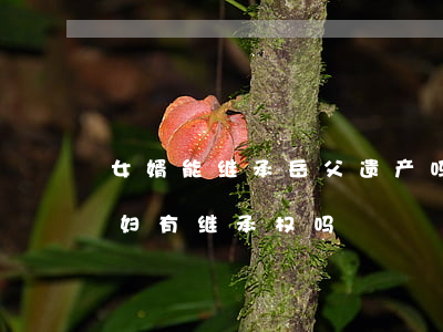 女婿能继承岳父遗产吗(父母的遗产女婿和媳妇有继承权吗)
