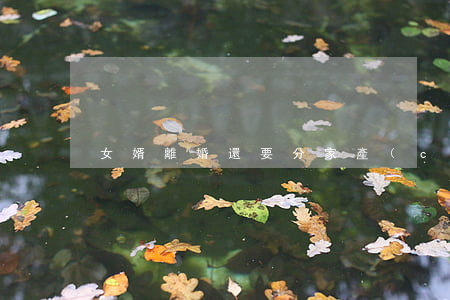 女婿離婚還要分家產(chǎn)嗎