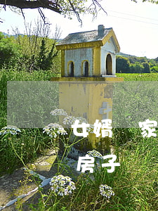 女婿離家出走提離婚(如果上門女婿離婚走了房子歸誰)