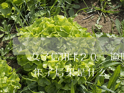 女子信用卡20張逾期一年(我信用卡逾期一年了后果是什么?)
