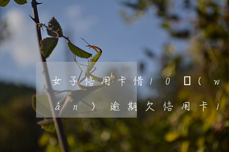 女子信用卡借10萬(wàn)塊錢(qián)逾期(欠信用卡10萬(wàn)會(huì)坐牢嗎)