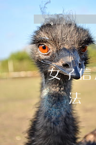 女子信用卡逾期不還 欠信用卡逾期了自救的辦法