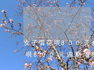 女子借花唄800元逾期兩個月-女子借花唄800元逾期兩個月怎么辦